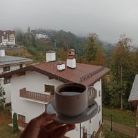 Alina 