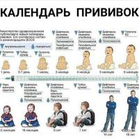 Катя 