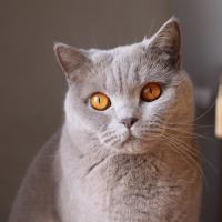 Оксана