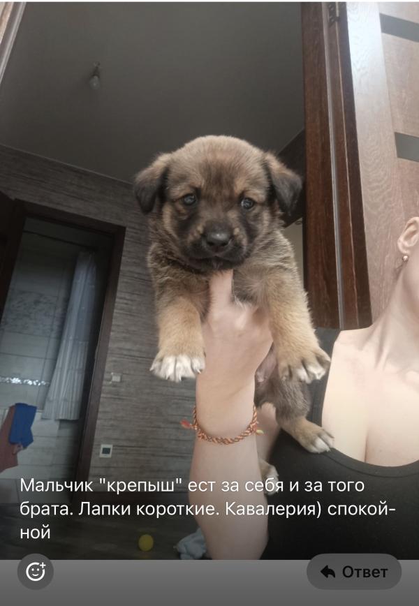 post image 4