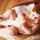 babybaby1903