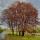 darina.moshk