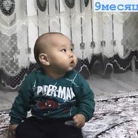 Альбина