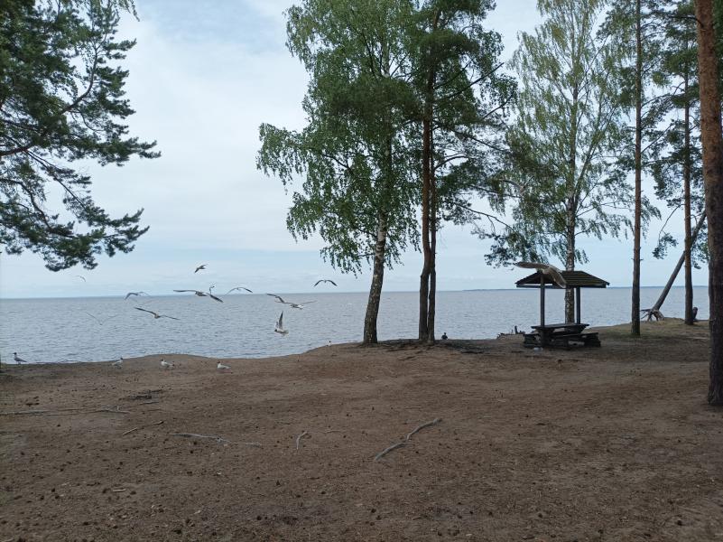 post image 4