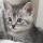 indima_262929