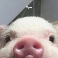 Лилия 🗿