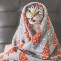 Кристина 