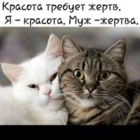 Без Имени 