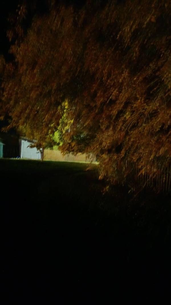post image 4