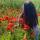 mary.ribka