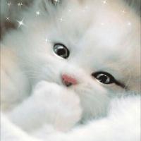 Ольга Хизриева
