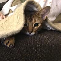 Катерина