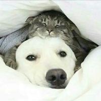 Олеся