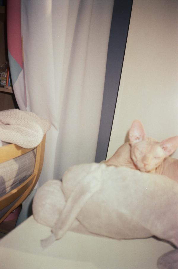 post image 5