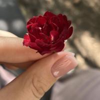 Ксения