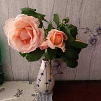 Еризова Катерина