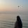 zu.s7171