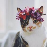 Таисия