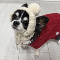 Маргарита