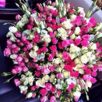 Екатерина29