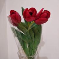 Калерия