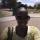 elvina.walker2285