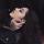 valeriya_kenesary