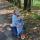 lika_terekhova