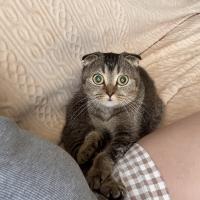 Оксана