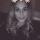 annakamen1903