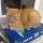 23photo