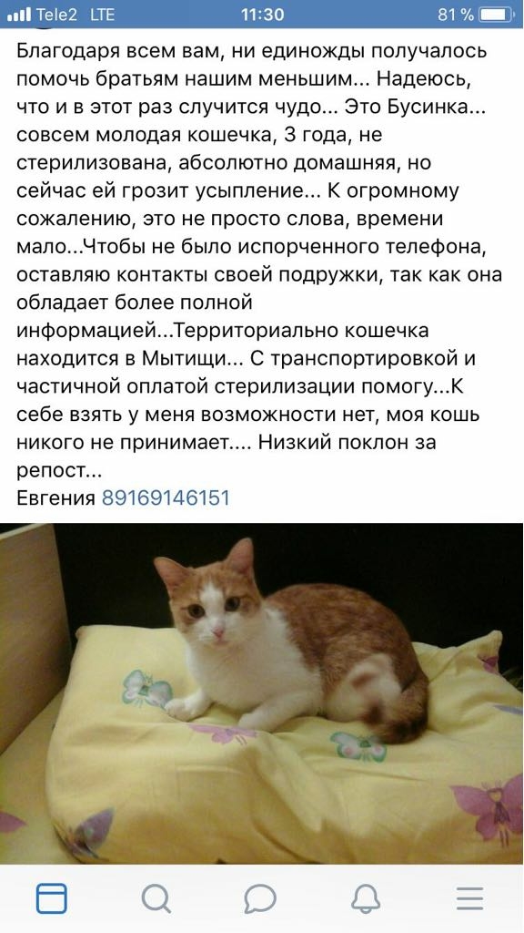 post image