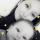 faina19980105