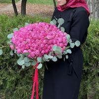 Маисат