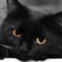  mrs_romanovna