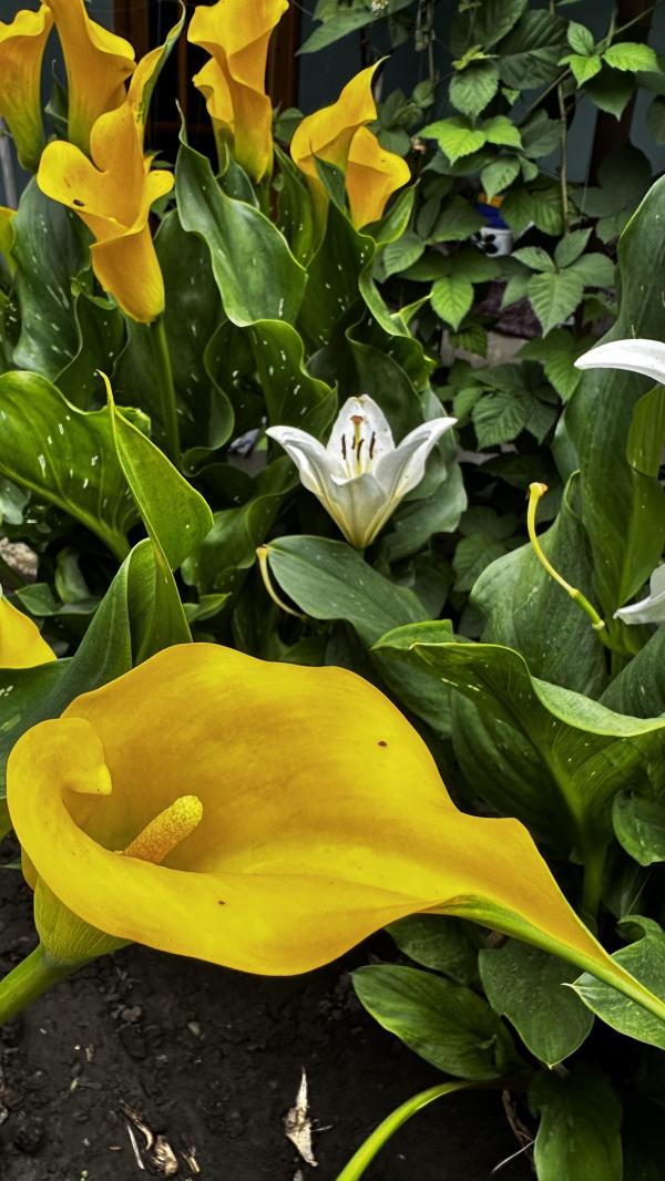 post image 5