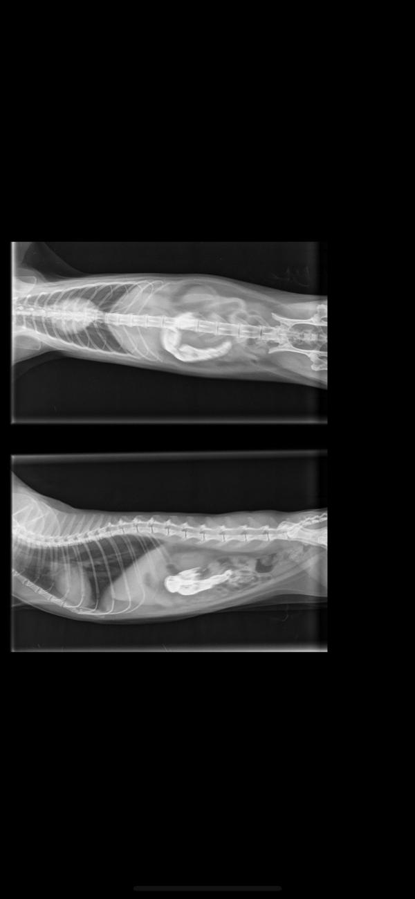 post image 5