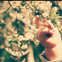 Ymm Safiya