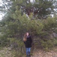 Елена Пензева 