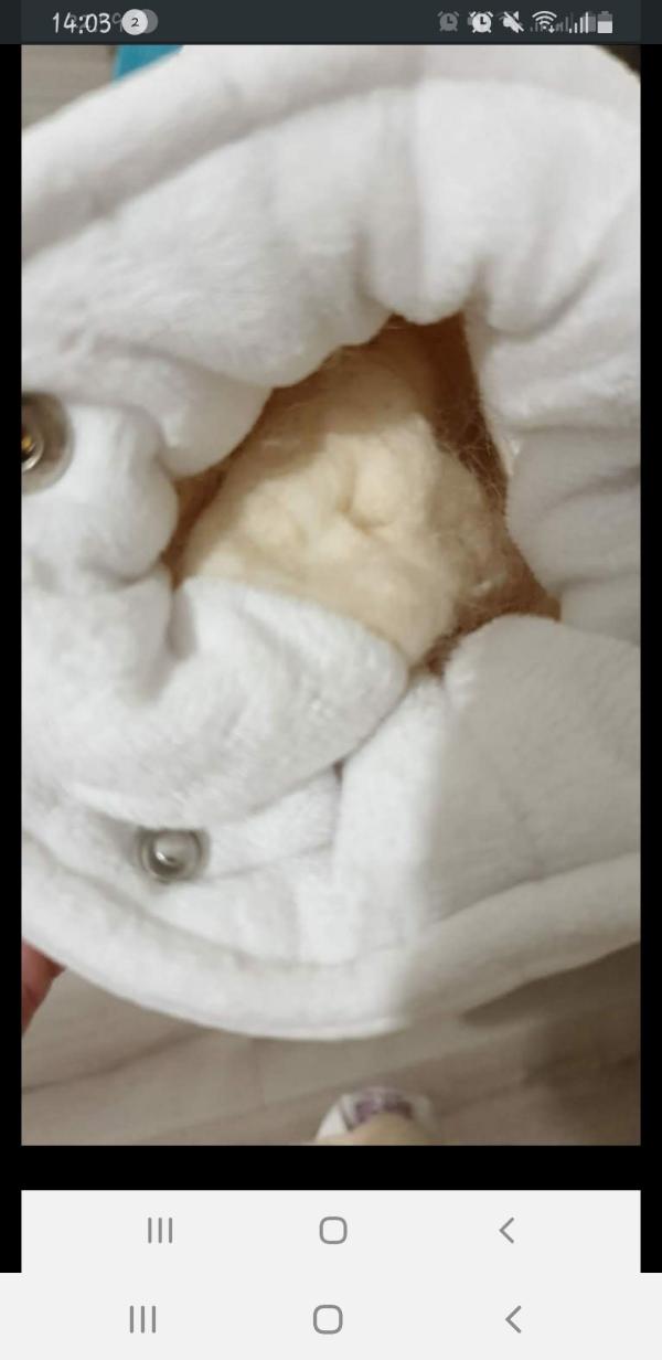 post image 4