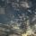 aliya__4950