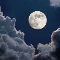 🌕