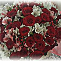 hedi_95