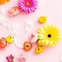 BlessedLadybug 