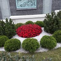 наталия
