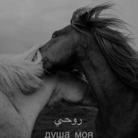 марь❤️