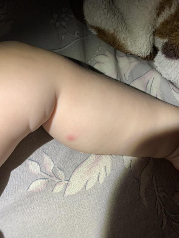 post image 5