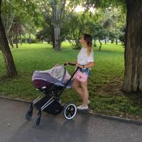 Antonina