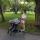 antonina_v