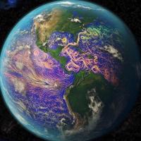 🌍